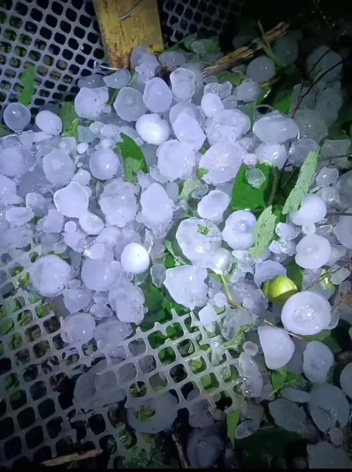 DƬ